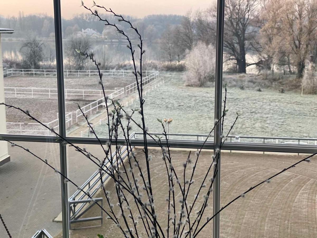 Tamerlan Khmelʼnytsʼkyy Buitenkant foto